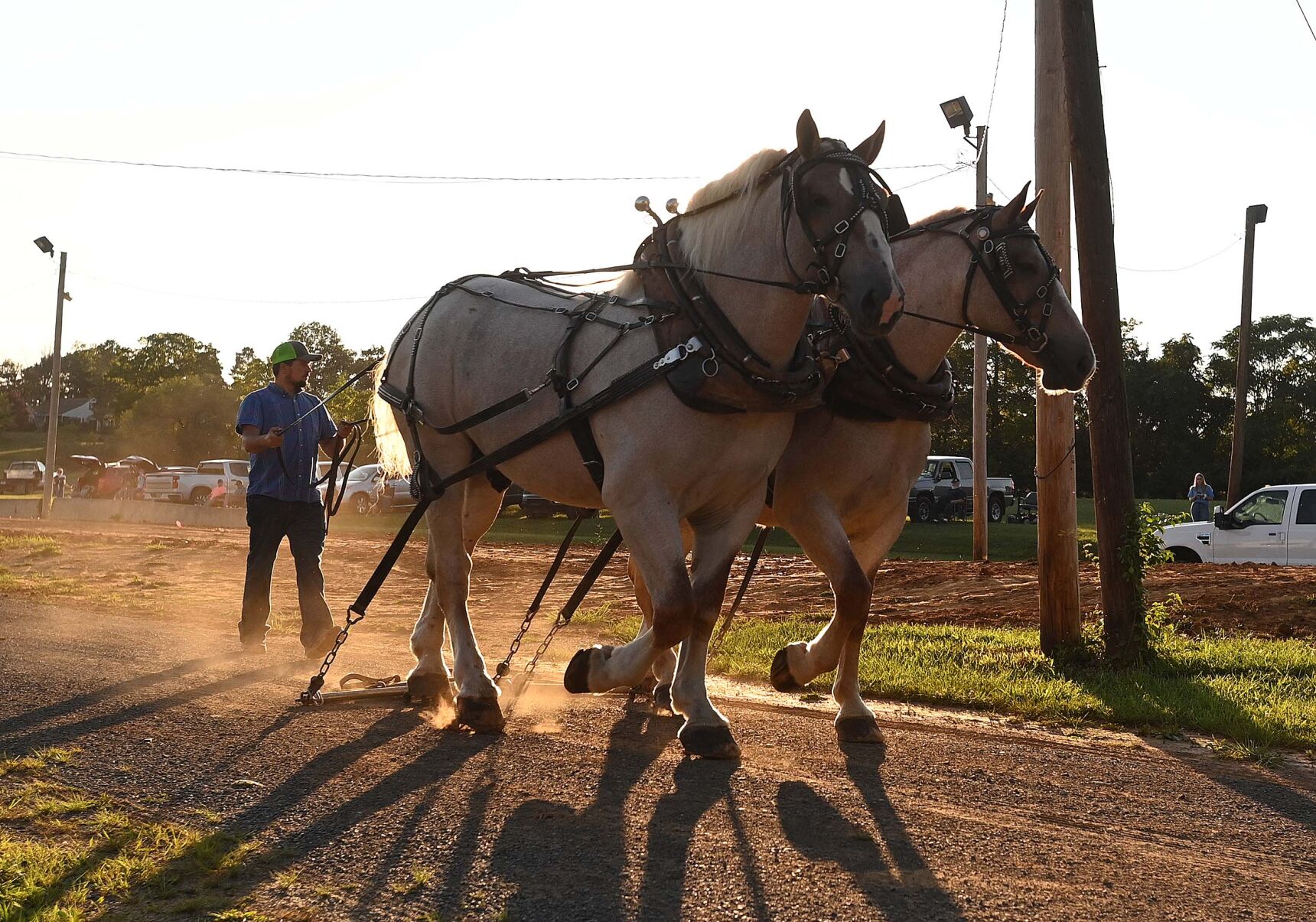 Tirage au sort de chevaux de trait Ag Expo 14.JPG